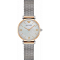 Часы Emporio Armani AR2068